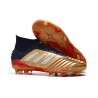 Chaussures Football Adidas Predator 19.1 FG Or Noir Rouge
