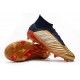 Chaussures Football Adidas Predator 19.1 FG Or Noir Rouge