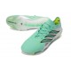 Chaussure de Foot adidas Predator Elite L FG Vert Argent