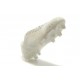 Nouvelle Adidas Pas Cher Chaussures Predator Instinct FG tout Blanc